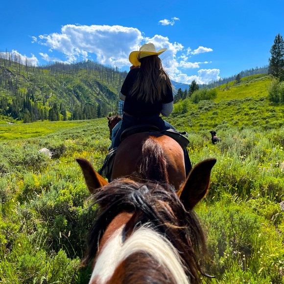 Meet your Posher, Savannah - Picture 1 of 1